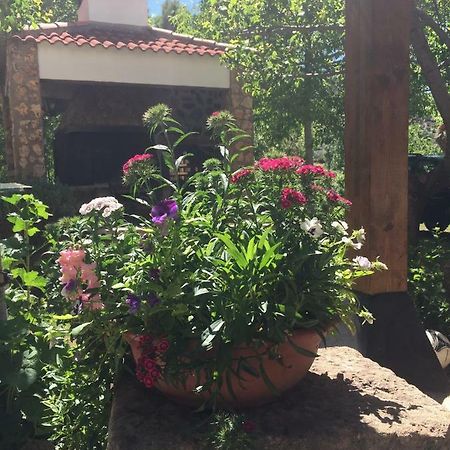 מלון Salobre  Casas Rurales La Huerta מראה חיצוני תמונה