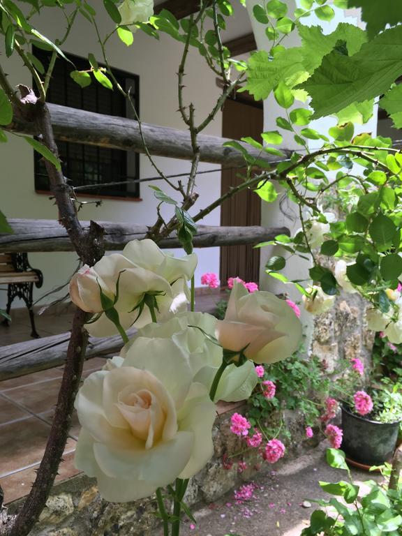 מלון Salobre  Casas Rurales La Huerta מראה חיצוני תמונה